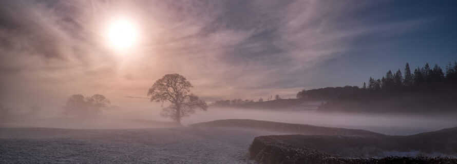 Freezing,Mist,Rolls,Across,The,Countryside,Landscape